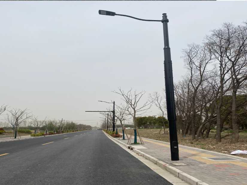薛城区上海综合杆 太阳能路灯工程